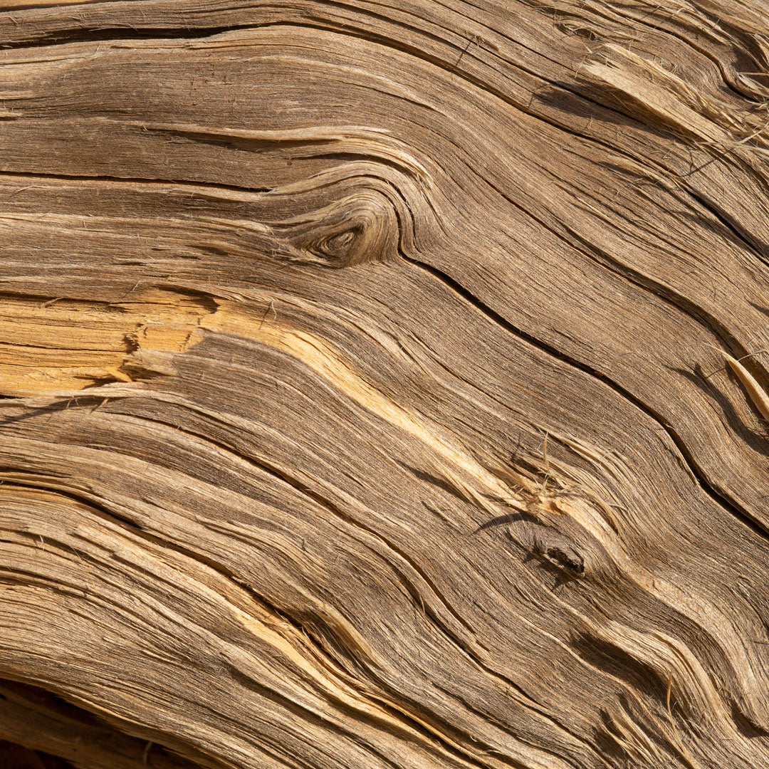 Scarlet Flame - Parfum unisexe luxury - 146U