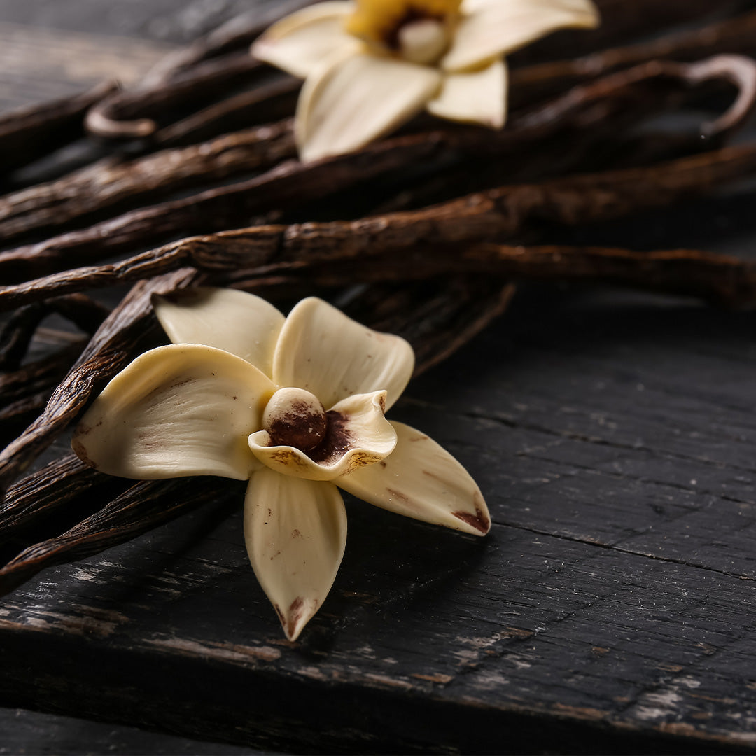 Eternal Love For Her - Parfum Femme