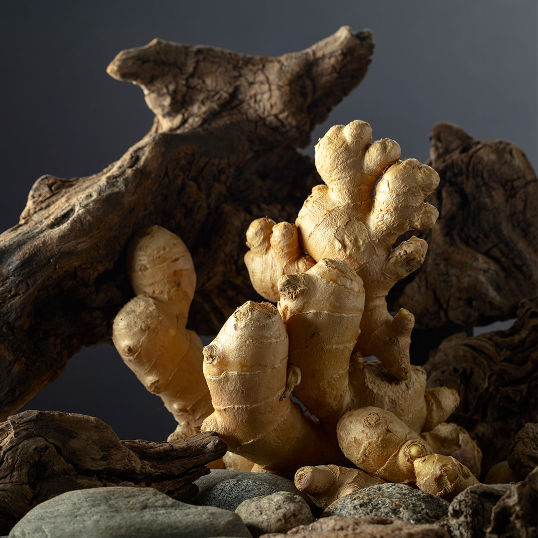 Divine Aura – Parfum pour Femme - 148W