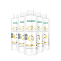 Mind Master Formula Gold – Lot de 5 boissons | LR Lifetakt 5 × 500 ml