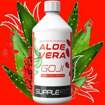 JUS ET PULPE D’ALOE VERA AVEC du GOJI - INTB009